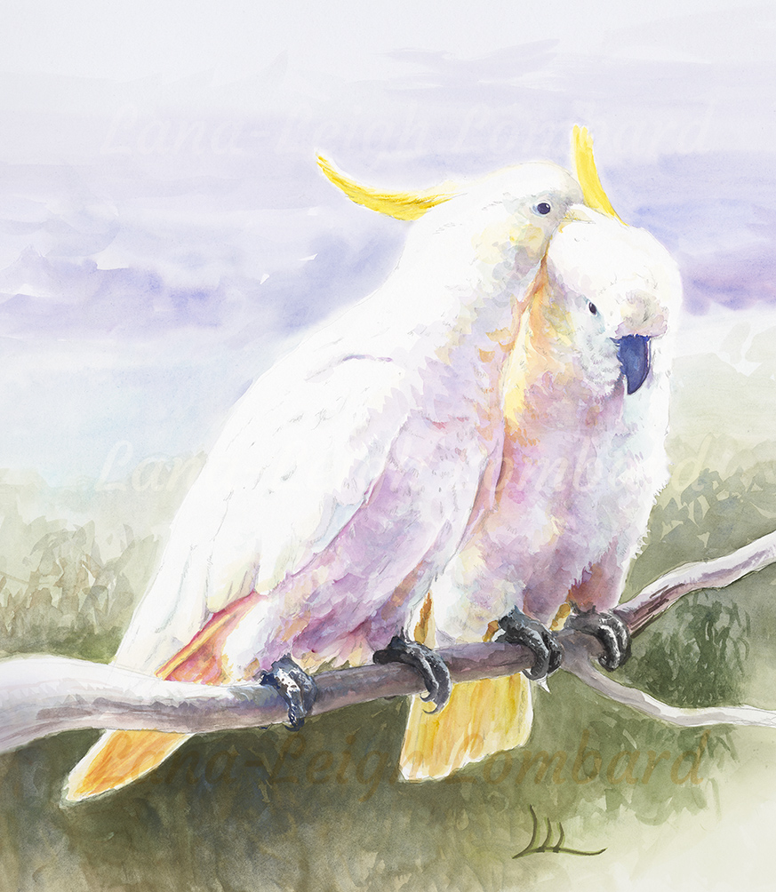 Cockatoo Couple
