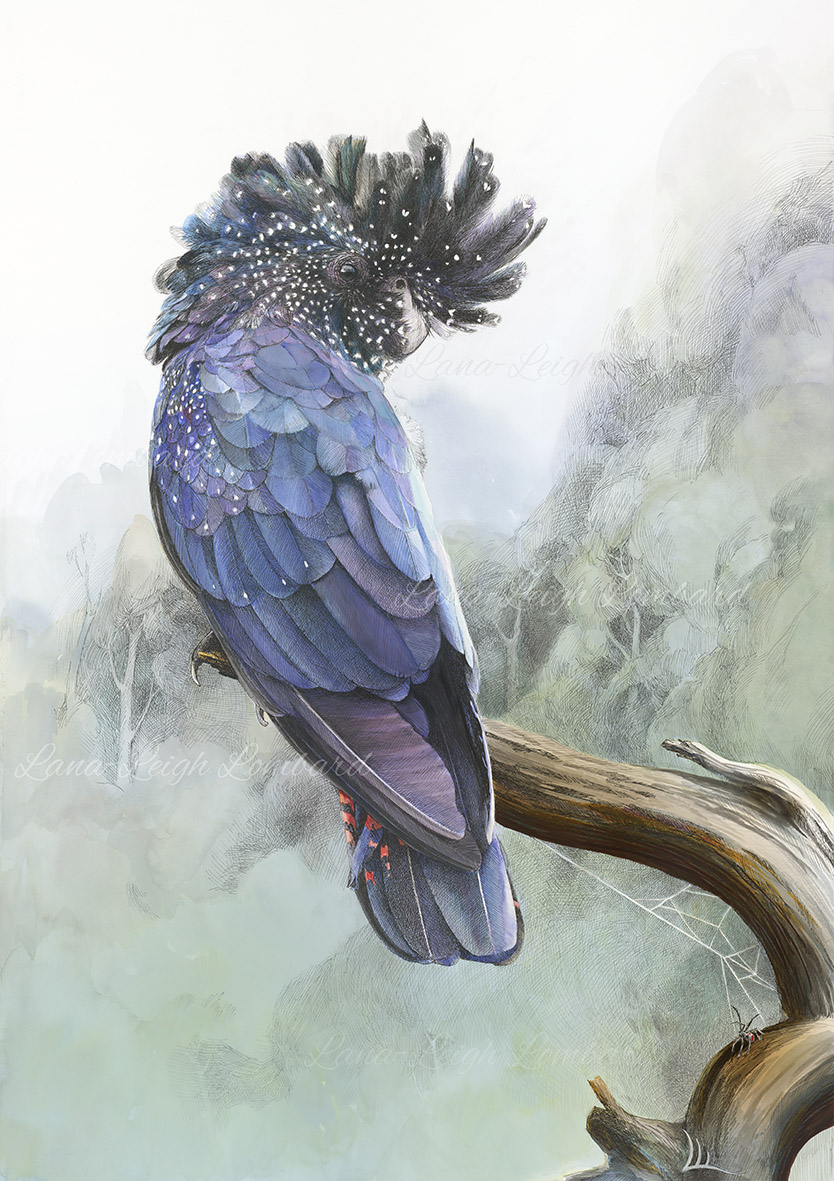 Starry Feathers