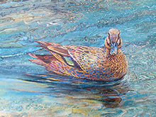 Morning Swim (Sold)